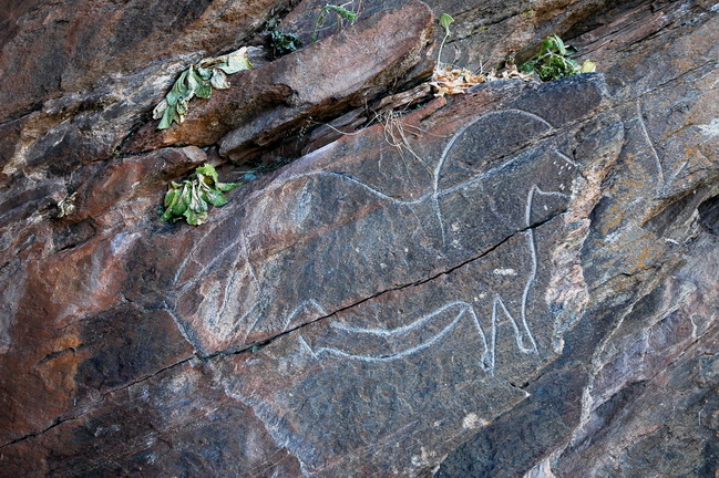 El caballo icónico de Mazouco – uno de los primeros descubrimientos paleolíticos de Portugal
