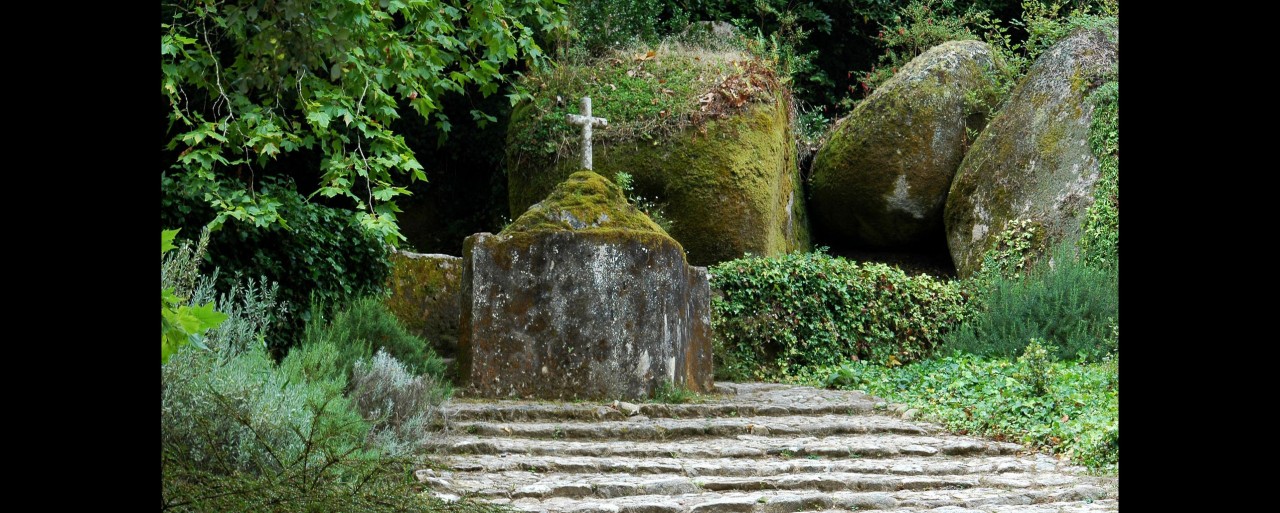 Parques de Sintra vence World Travel Award para “Melhor Empresa do Mundo em Conservação”