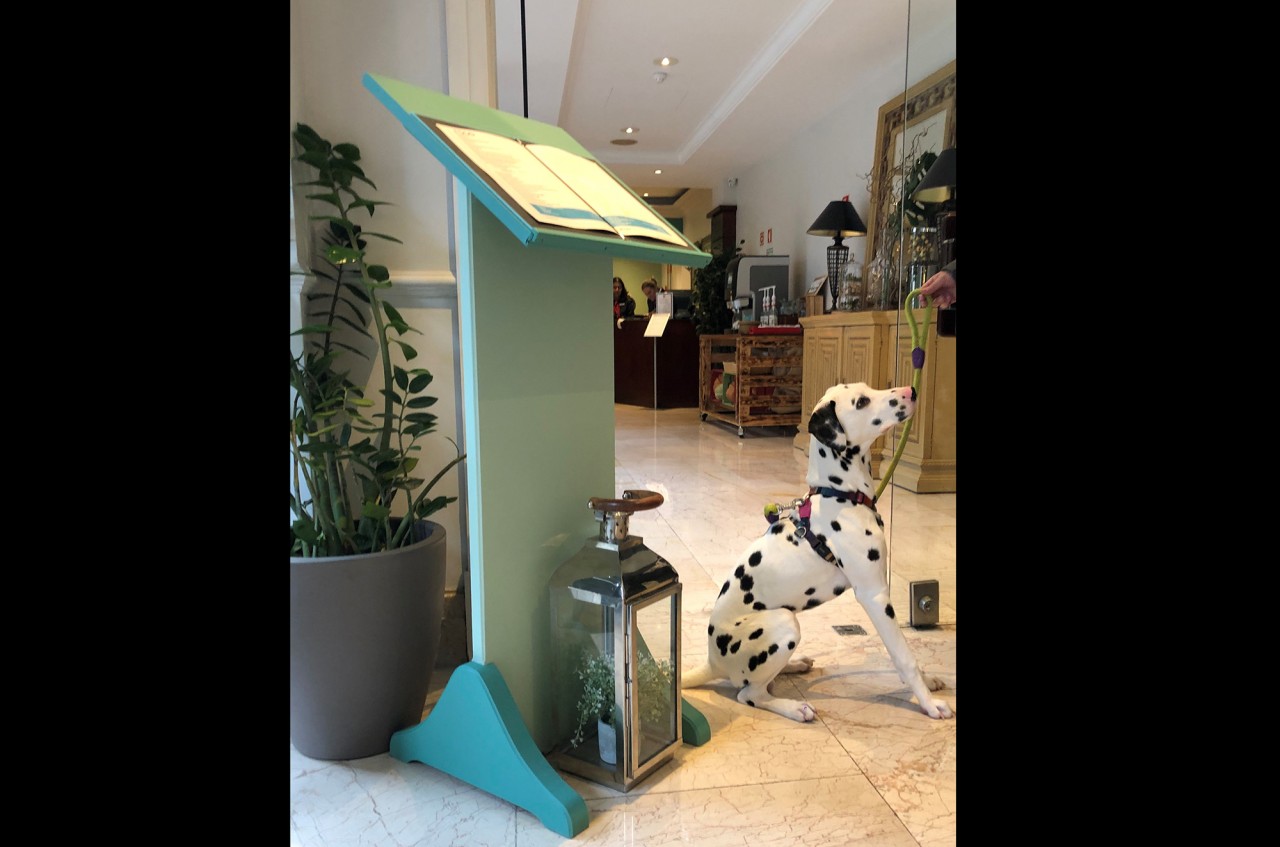 O seu amigo de 4 patas é bem-vindo ao Lisbon Marriott Hotel!