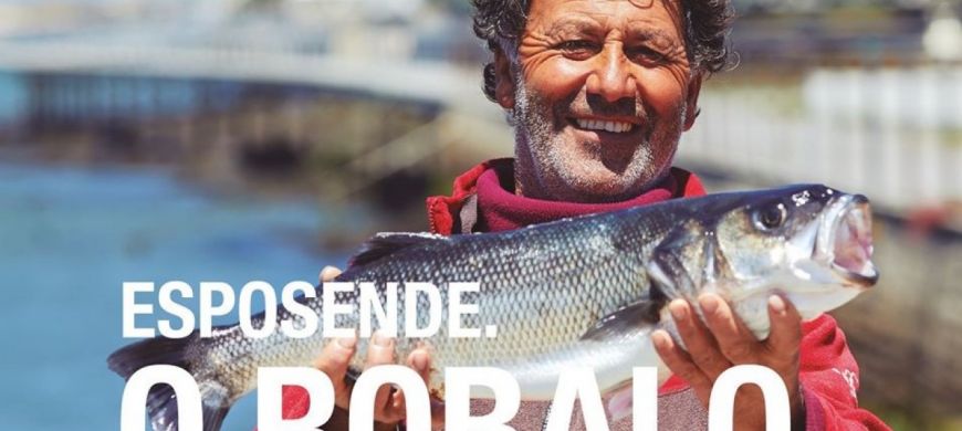 Onde está o Robalo? | está aqui
