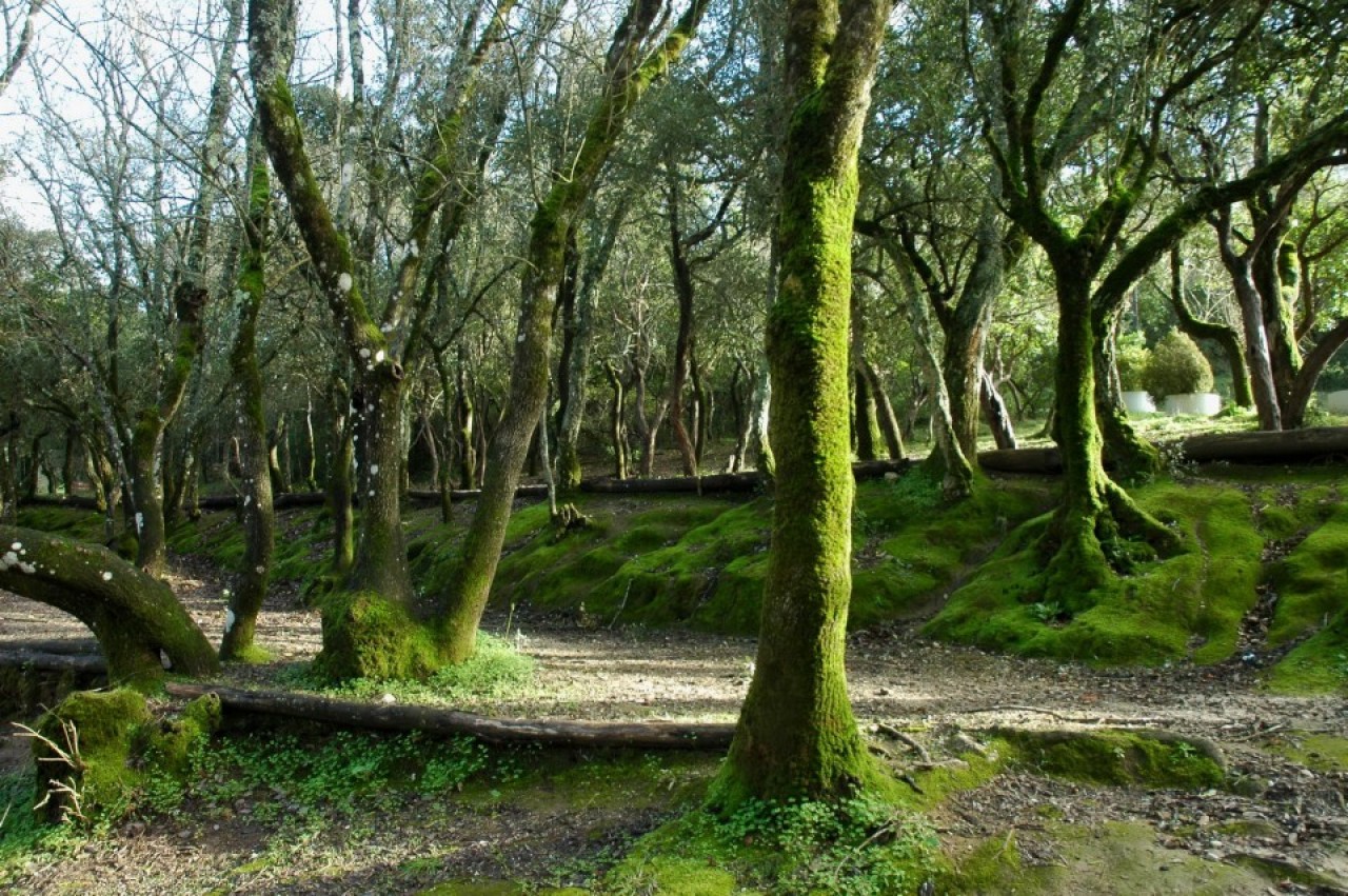 Loures vai criar três novos Parques Verdes