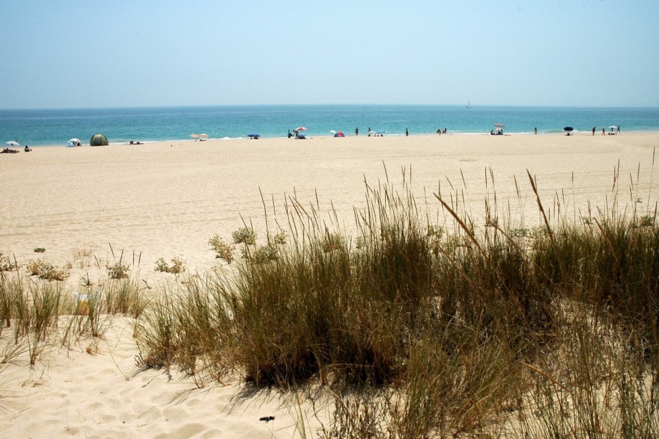 Praias de Portimão ostentam galardões de qualidade e apresentam elevados índices de segurança sanitária