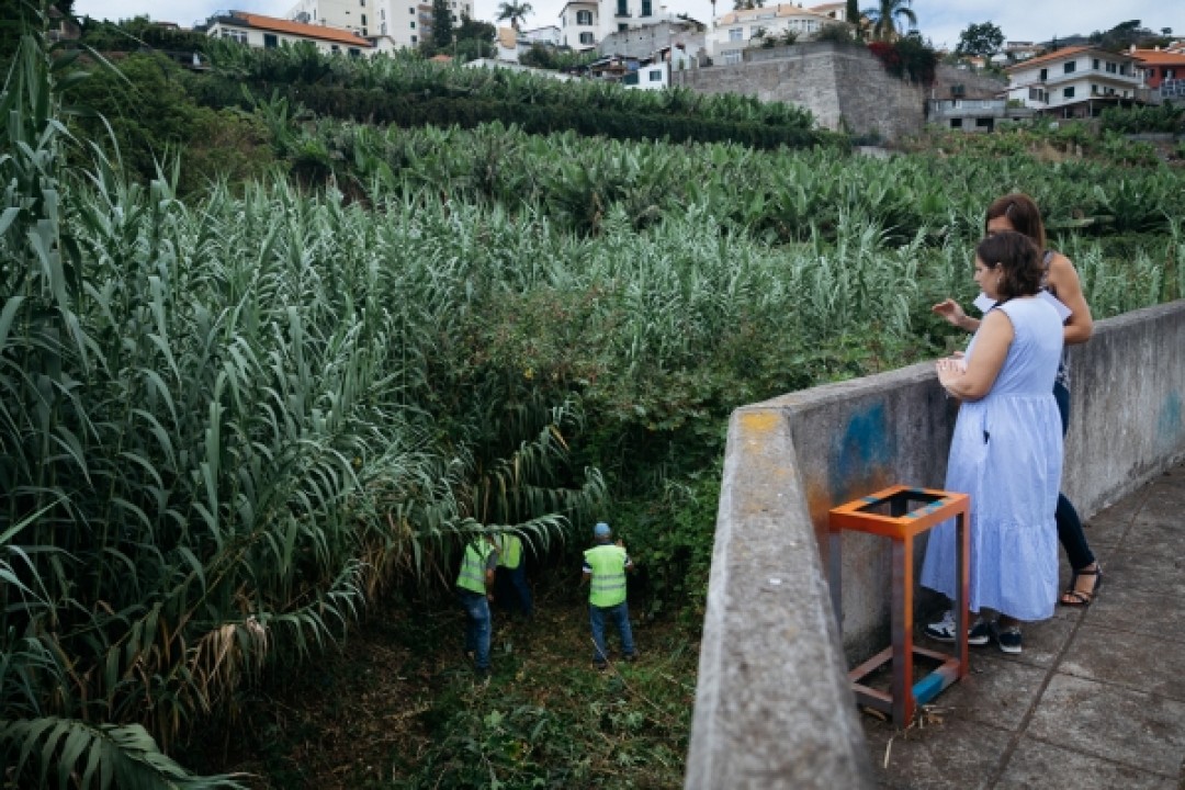 Câmara do Funchal limpa 17 ribeiros do concelho