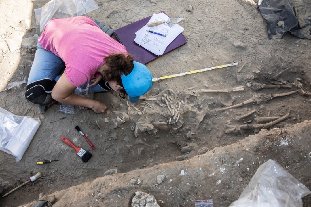 Trabalhos arqueológicos desvendam antiga necrópole no Castelo de Palmela