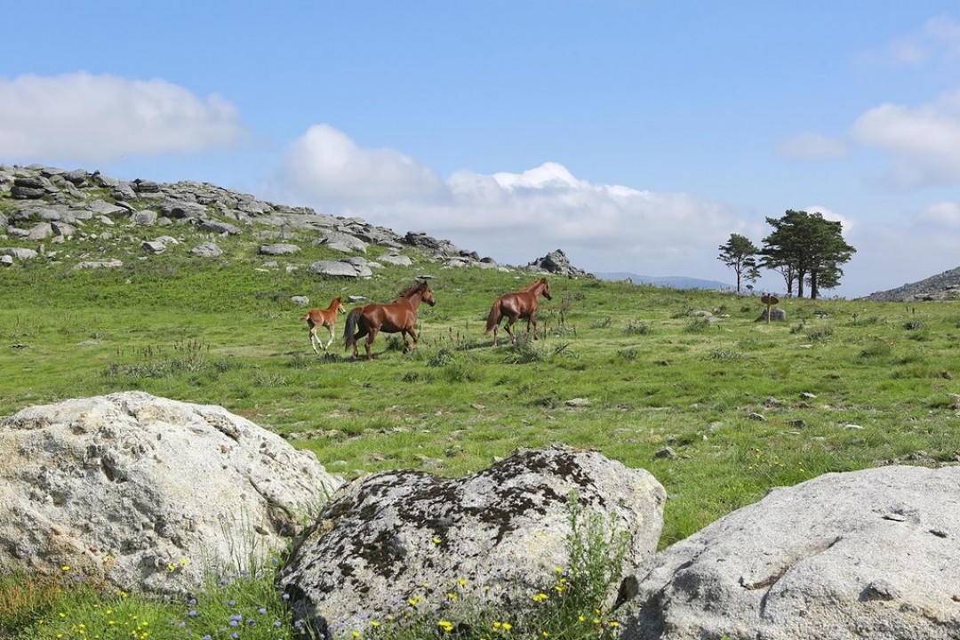 Caminha vai aprovar proposta para criação da Área de Paisagem Protegida Regional da Serra d’Arga