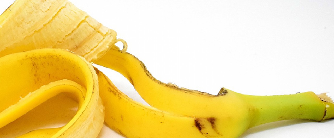 Sintra avança com recolha seletiva de resíduos alimentares