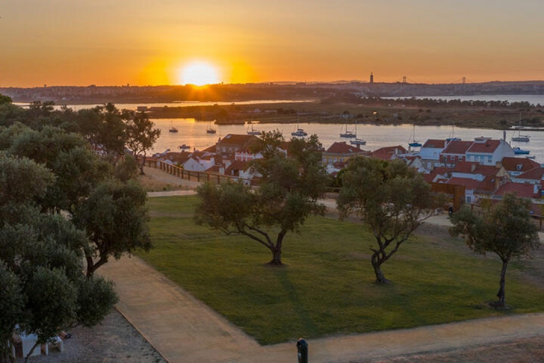 Plantação de árvores no Seixal