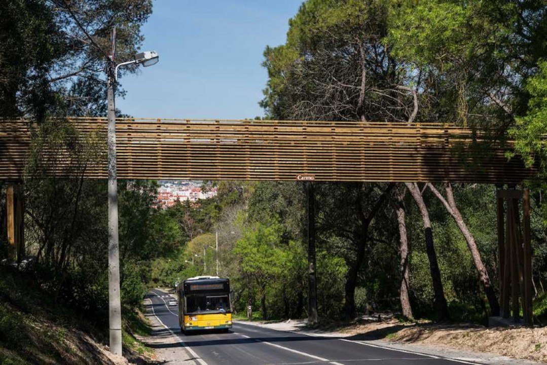 Viaduto Ciclopedonal da Cruz das Oliveiras liga 2 Trilhos em Monsanto