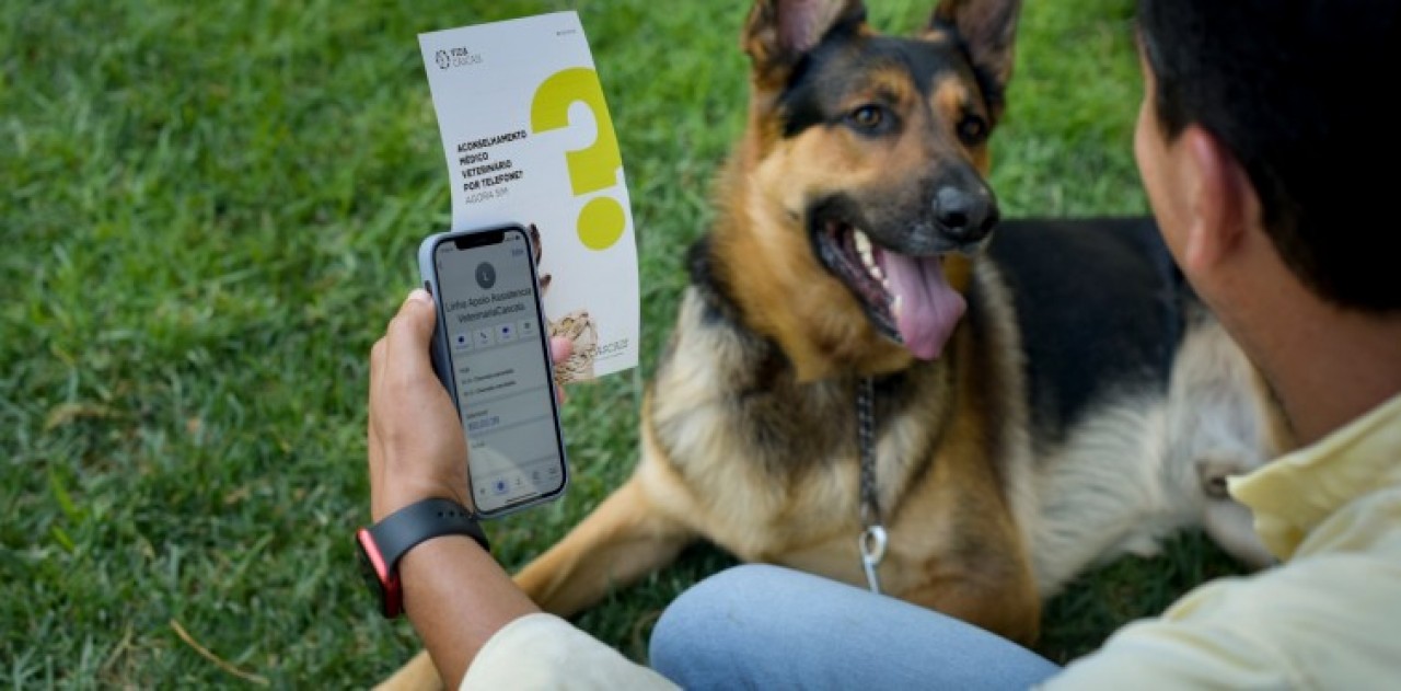 Cascais disponibiliza Aconselhamento Médico Veterinário por telefone