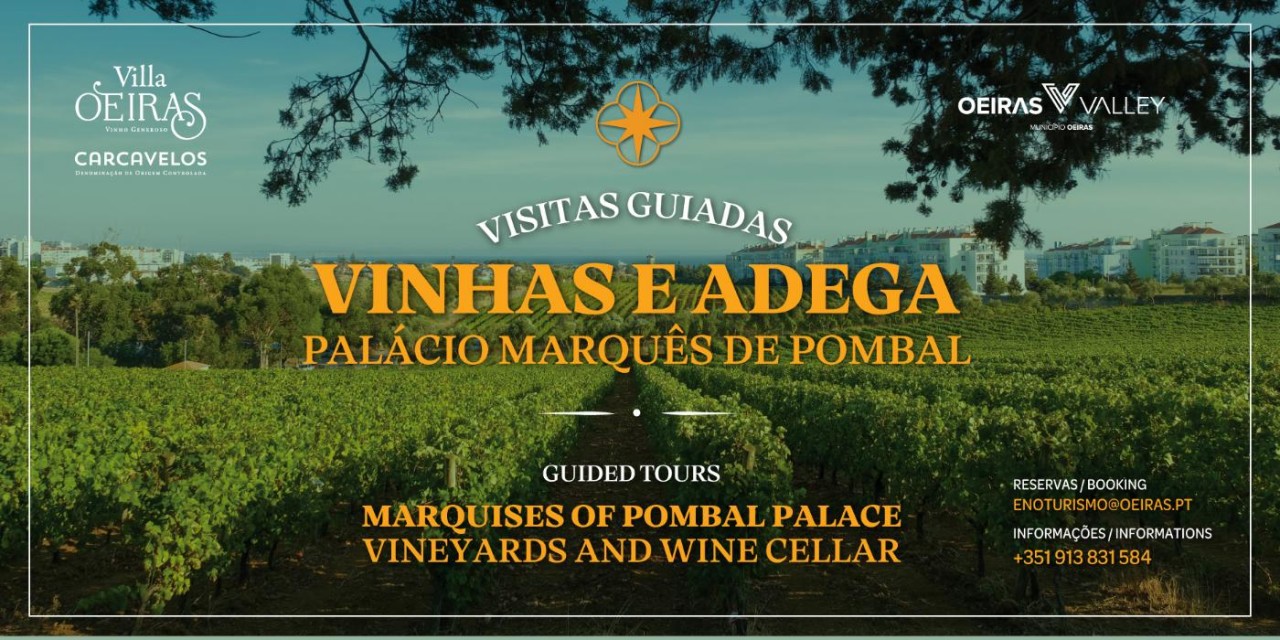 Villa Oeiras - Visitas guiadas às vinhas e adega
