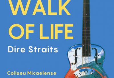 Walk Of Life - Dire Straits