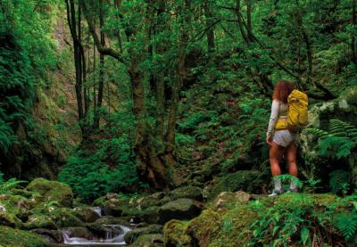 Festival da Natureza