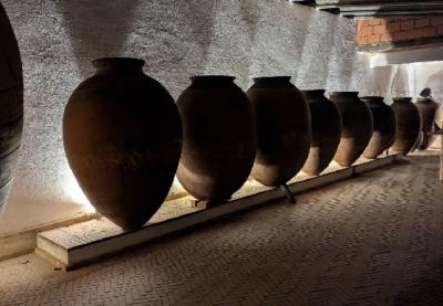 VISITA À VINHA MEDIEVAL PROVA DE VINHO DE TALHA BAIRRADA NA ADEGA CENTENÁRIA MALÁPIO