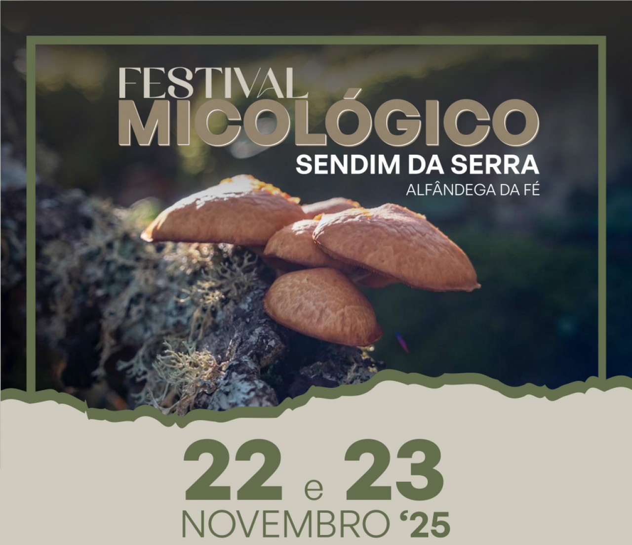 Festival Micológico