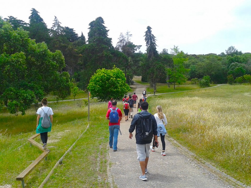 Caminhada pelos Miradouros de Monsanto com Yoga