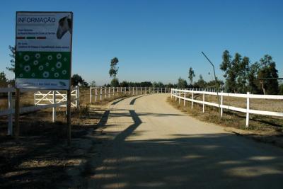 Reserva Natural do Cavalo do Sorraia