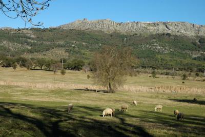 Parque Natural da Serra de São Mamede