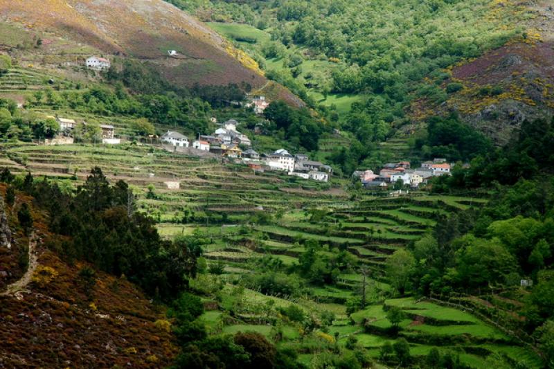 Fervença