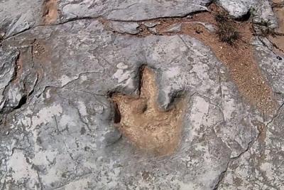 Pegadas de Dinossauros de Vale dos Meios