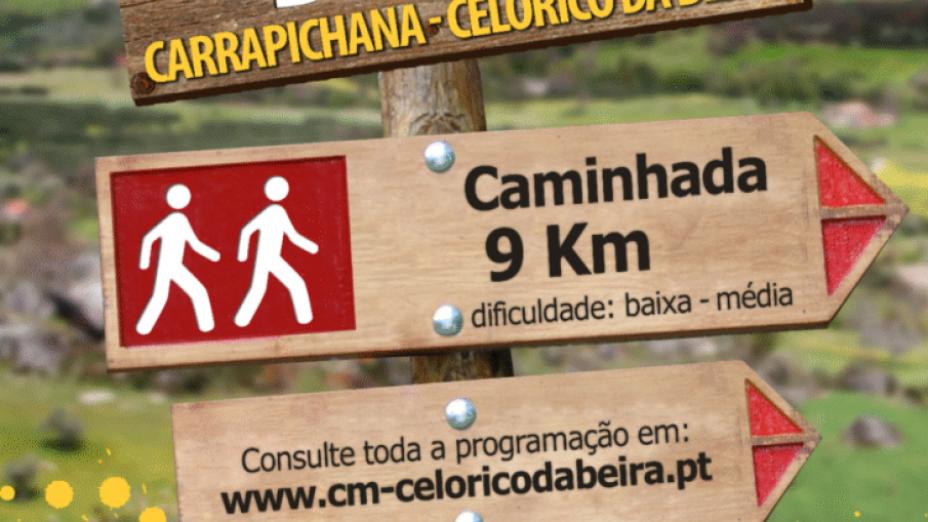 Rota do Borrego | Carrapichana