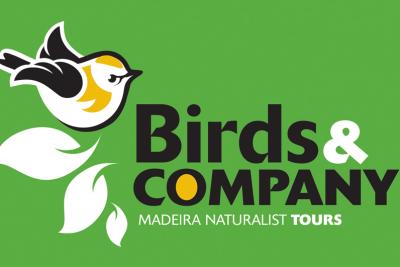 Birds & Company - Madeira Naturalist Tours