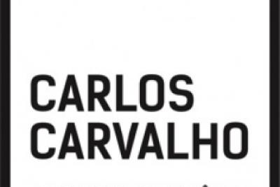 Carlos Carvalho arte contemporânea