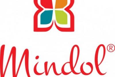 Mindol-Metalúrgica Industrial, SA